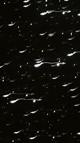 BF Light_mosaic_M 45_5