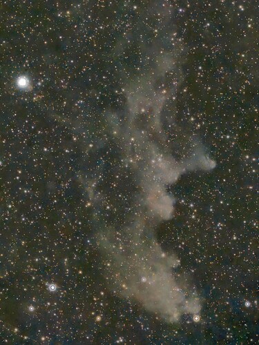 Bill Farrar - Witch Head