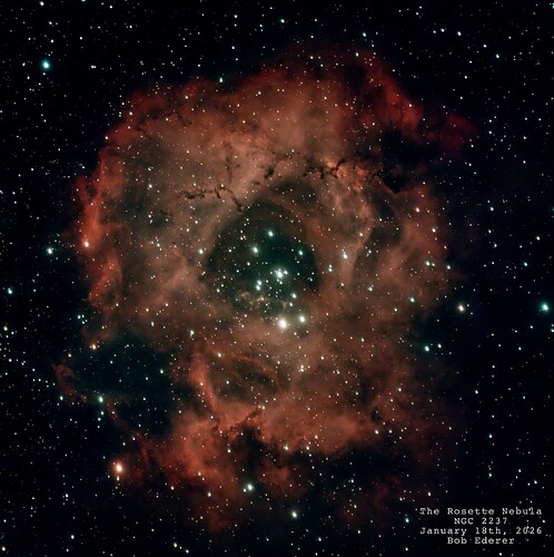 Rosette straight from Eva copy