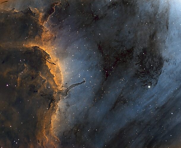Pelican_IC5070