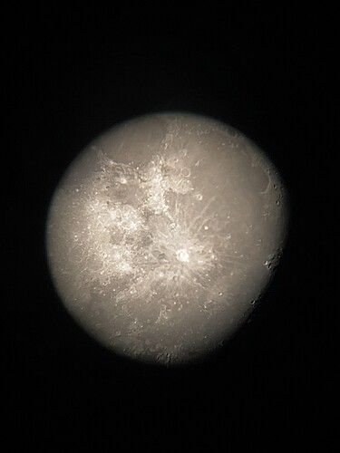 Lunar Wax 7day Gibeous 40x Mag