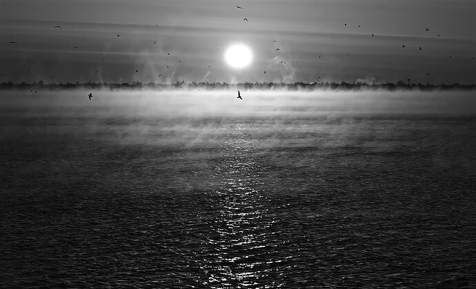 BILL FARRAR_DSC_0772_117(2)