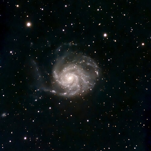 Bill Farrar_M 101_1771744182302