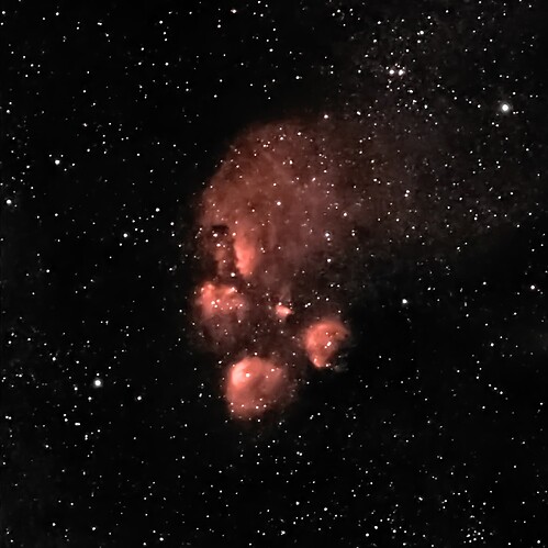 Bill Farrar_Paw Paw - 1774088283717