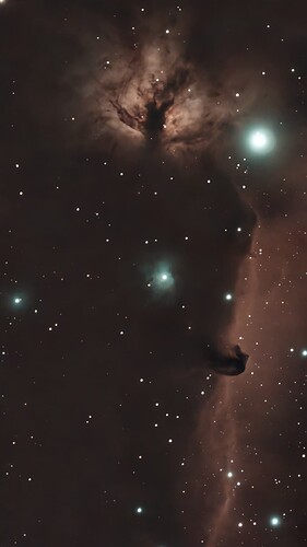 Bill Farrar - CRO - 1763883873864